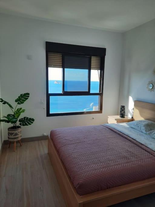 Murtal Apartment Benidorm Dış mekan fotoğraf