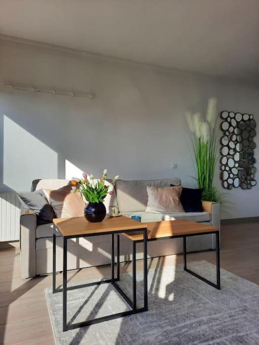 Murtal Apartment Benidorm Dış mekan fotoğraf